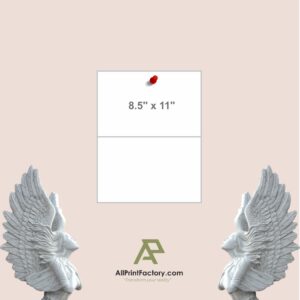 8.5" x 11" Calendars