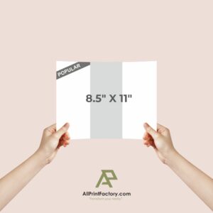 Brochures ( 8.5" x 11")