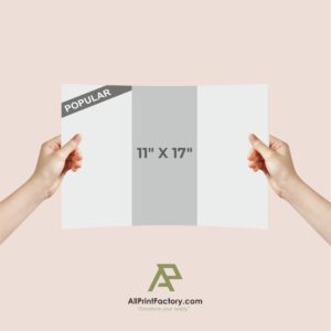 Brochures (11" x 17")